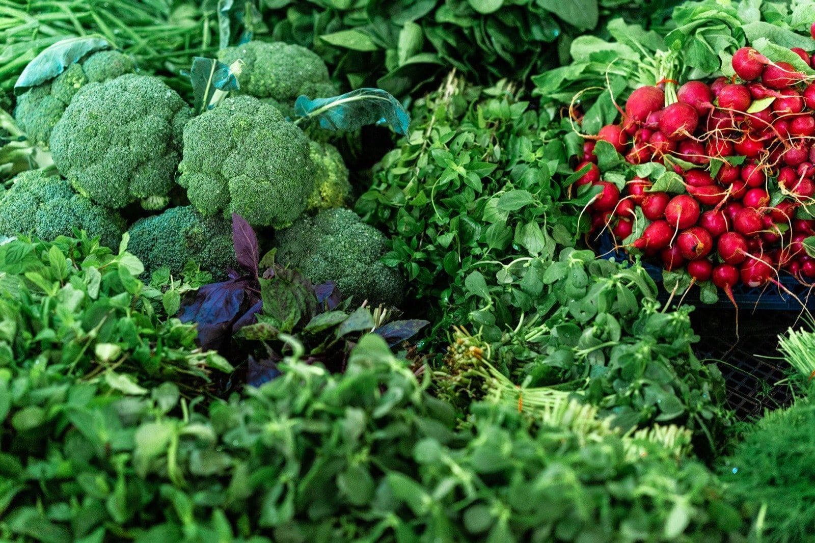 Brokoli, roka, turp ve fesleğenden oluşan sık yeşillik yığını