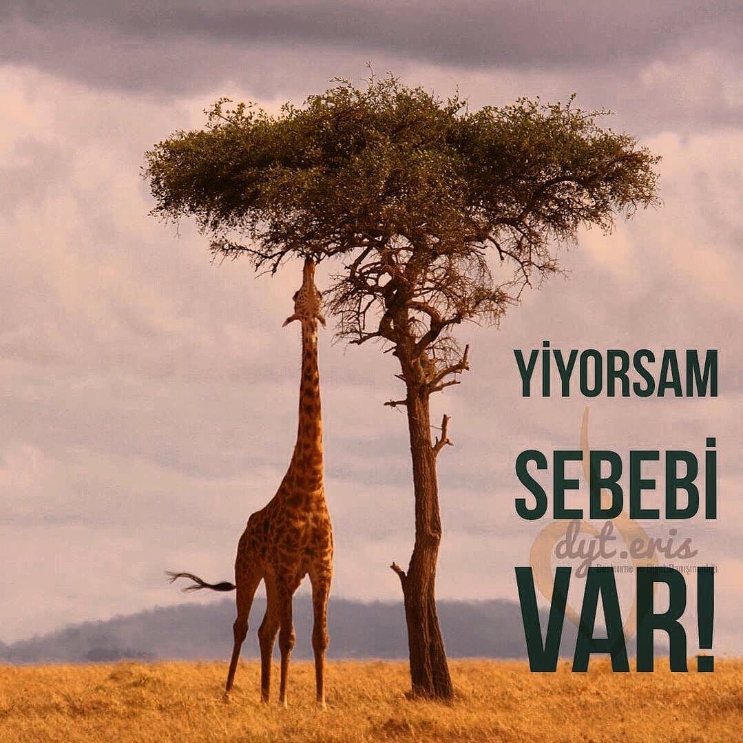 Duygusal yeme nedenleri ve yönetimi