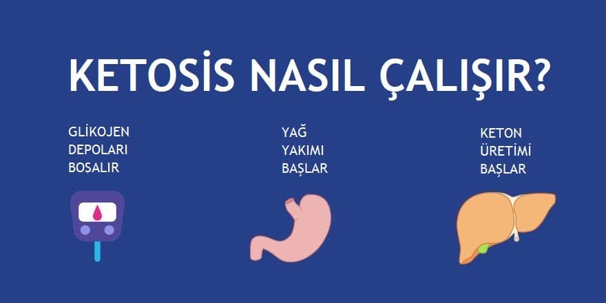 Ketojenik adaptasyon sürecini temsil eden görsel