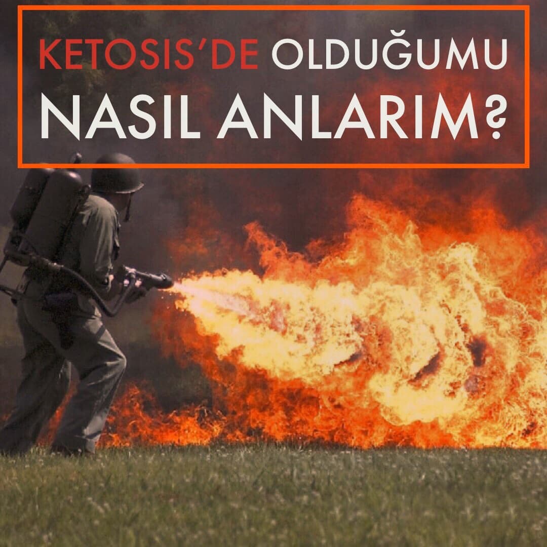 Ketosis belirtileri ve ölçüm yöntemleri
