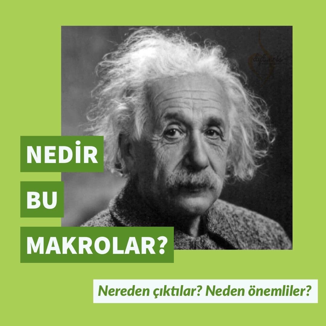 Makro besin öğeleri: protein, karbonhidrat ve yağ