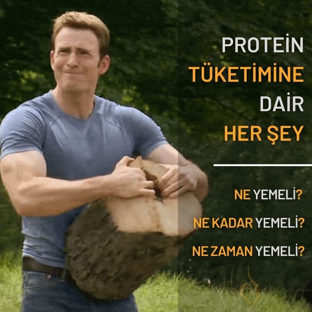 Günlük protein ihtiyacı ve protein kaynakları