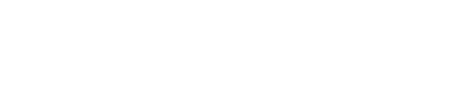 megaFortuna