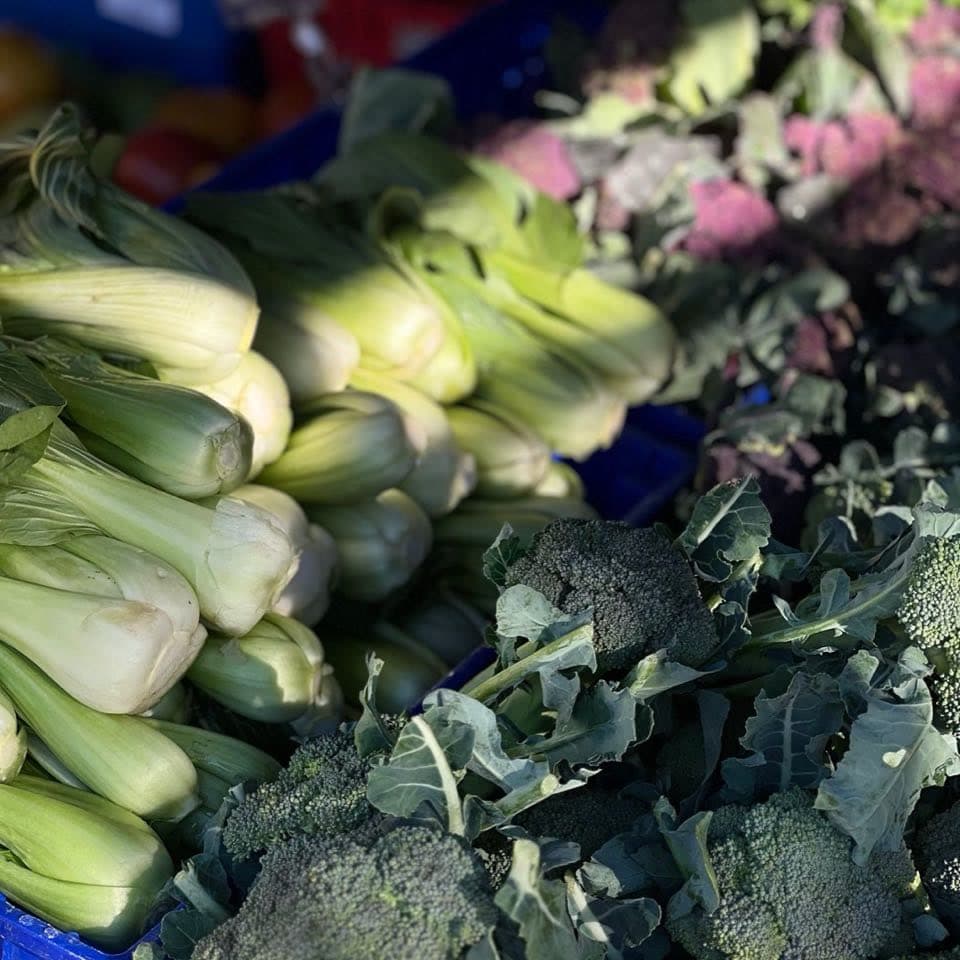 Brokoli, pazı ve koyu yeşil yapraklı sebzeler bir arada, yakın çekim