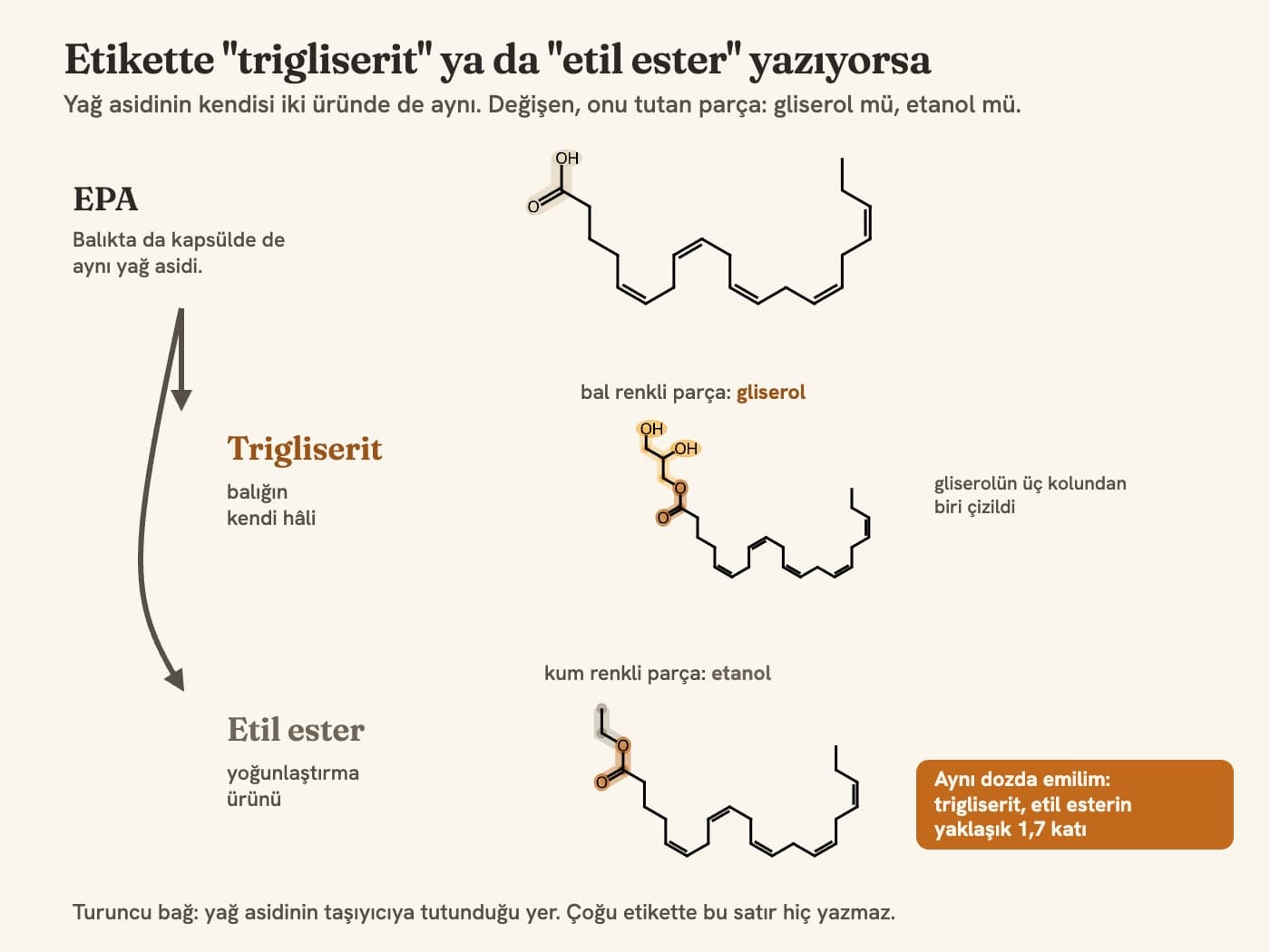 EPA molekülünün trigliserit ve etil ester formundaki yapı şeması; gliserol bal rengiyle, etanol kum rengiyle işaretli
