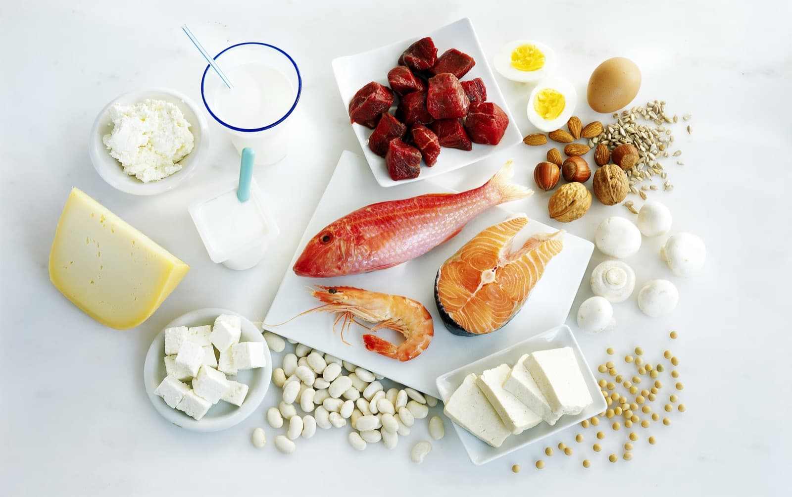 Kırmızı et, balık, karides, yumurta, peynir, süt ürünleri ve bakliyat gibi çeşitli protein kaynağı gıdalar