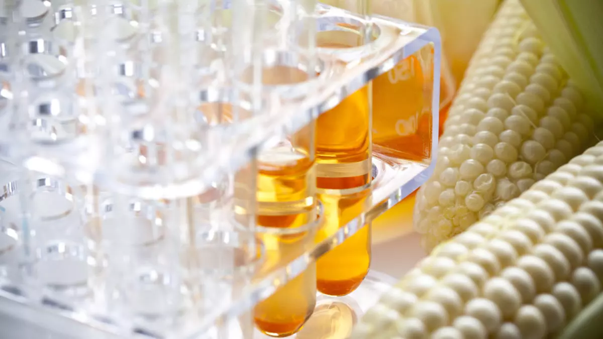 Test tüpleri ve mısır görüntüsü.