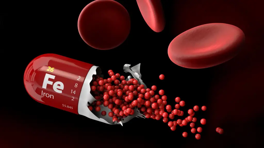 Demir kapsül ve kırmızı hücreler.